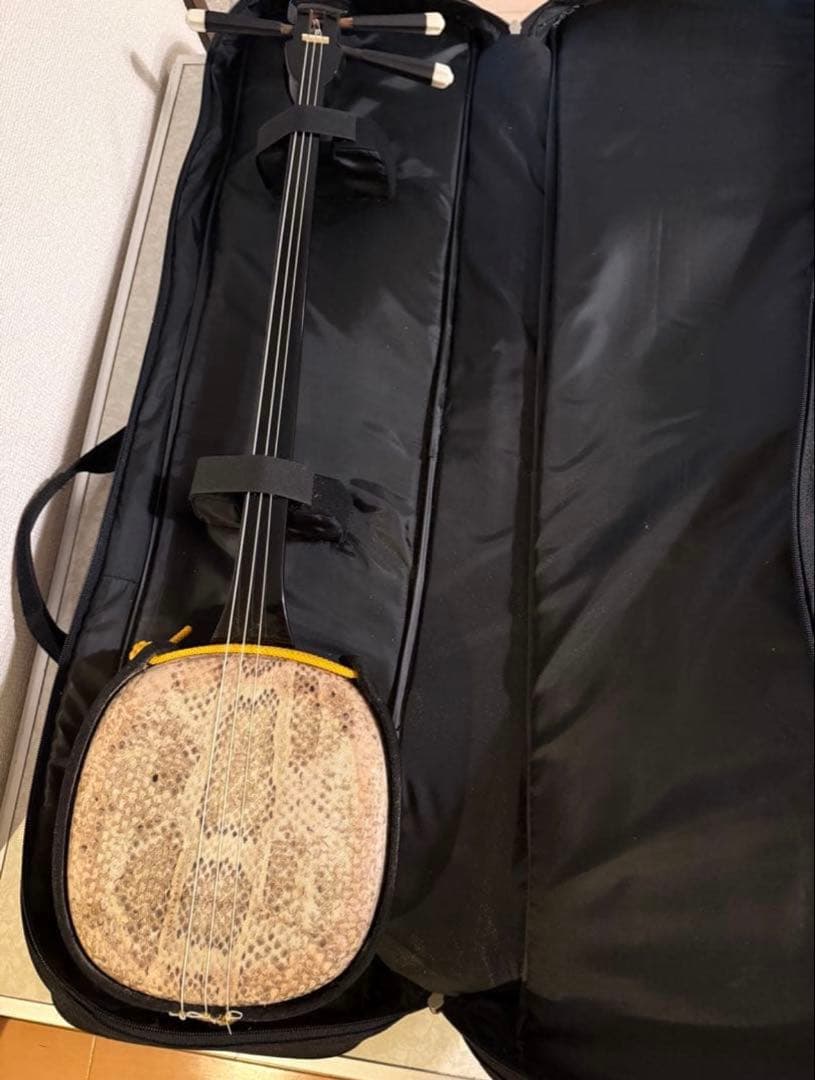 三線（蛇皮＋人工皮）、ケース付き