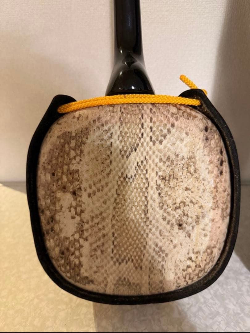 三線（蛇皮＋人工皮）、ケース付き