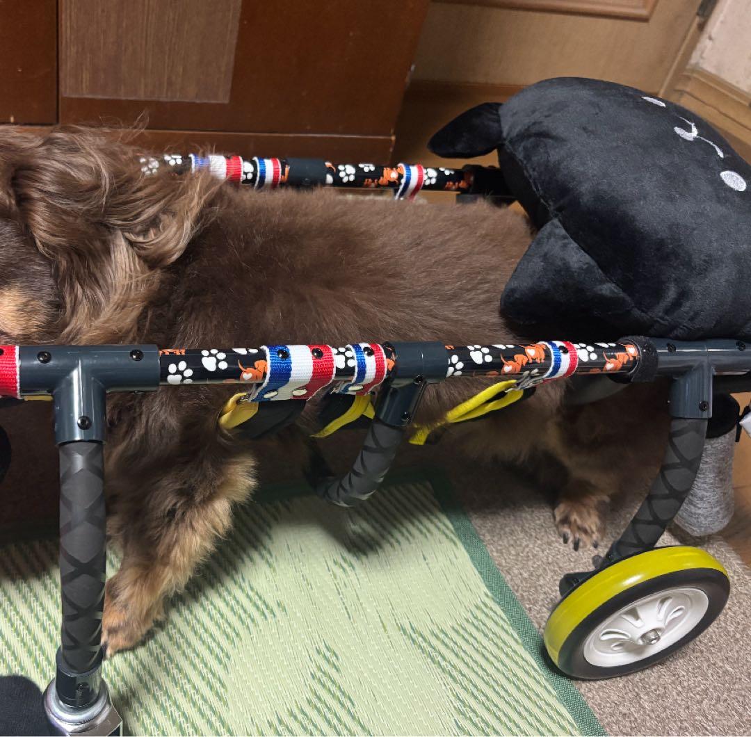 Mダックス歩行器、犬用車いす