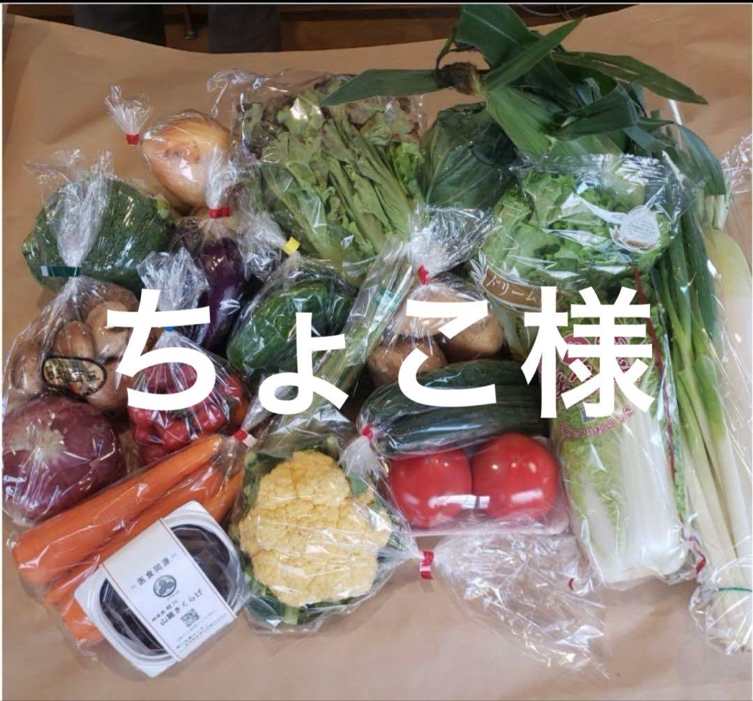 ちょこ様 野菜セット 果物追加 干し芋2