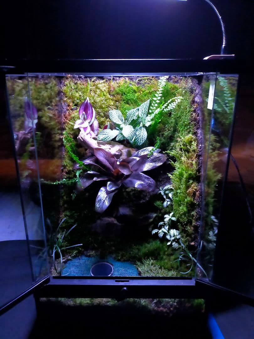 隠れ家付き！大自然の中の飼育箱、