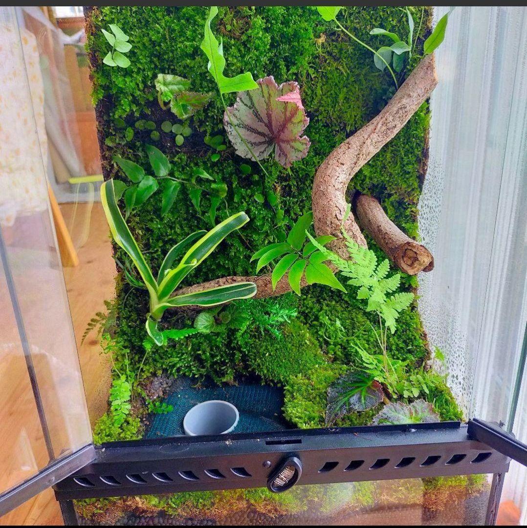 隠れ家付き！大自然の中の飼育箱、