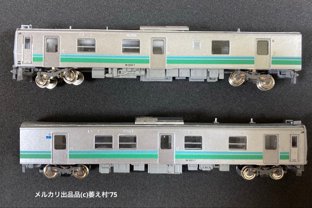 特製組立品　Nゲージ　HB-E220 暖地向け(八高線)2両セット