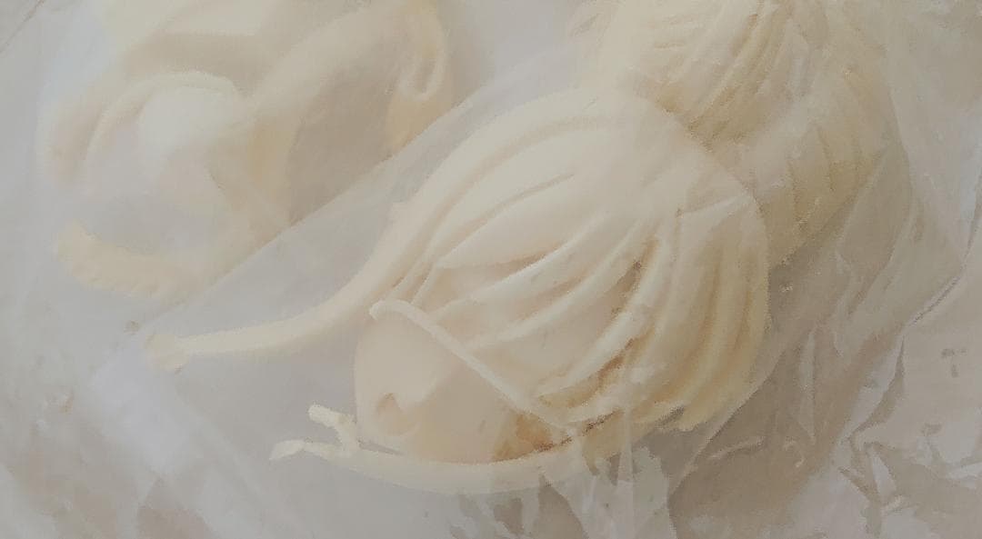 Fate『セイバー 胸像』ガレージキット S-MIST 1/4スケール