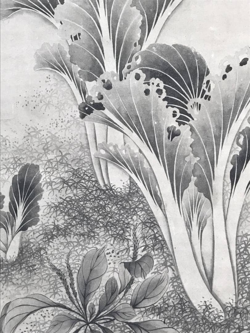 【真作】高橋草坪/疏園遊蜂図/野菜図/白菜図/掛軸/名家伝来/AD-38