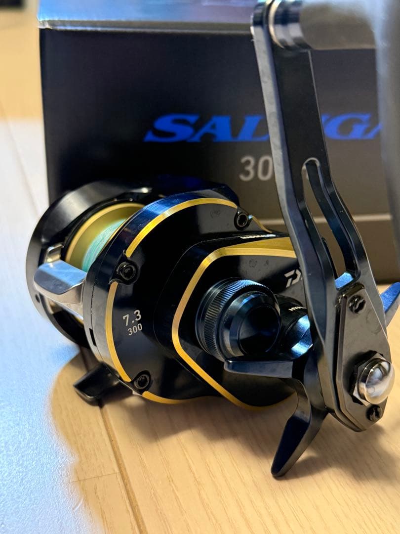ダイワ 25ソルティガ300H