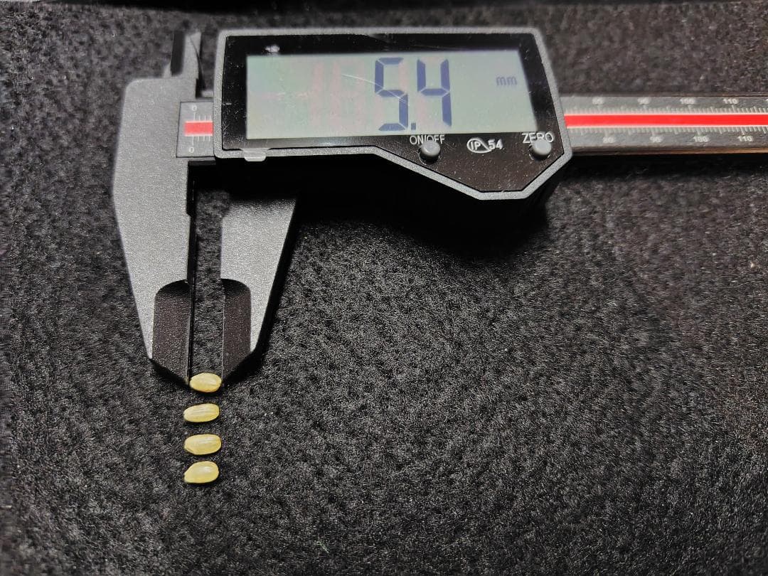 【令和7年度産】西条の名水で育てたお米 にじのきらめき 新米の玄米 20kg