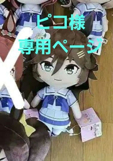 ピコページです。