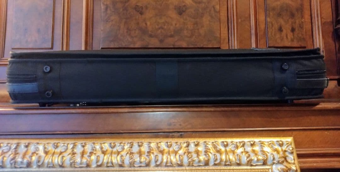 GEWA ゲヴァ　ヴァイオリンケース　美品　VENEZIA　4/4