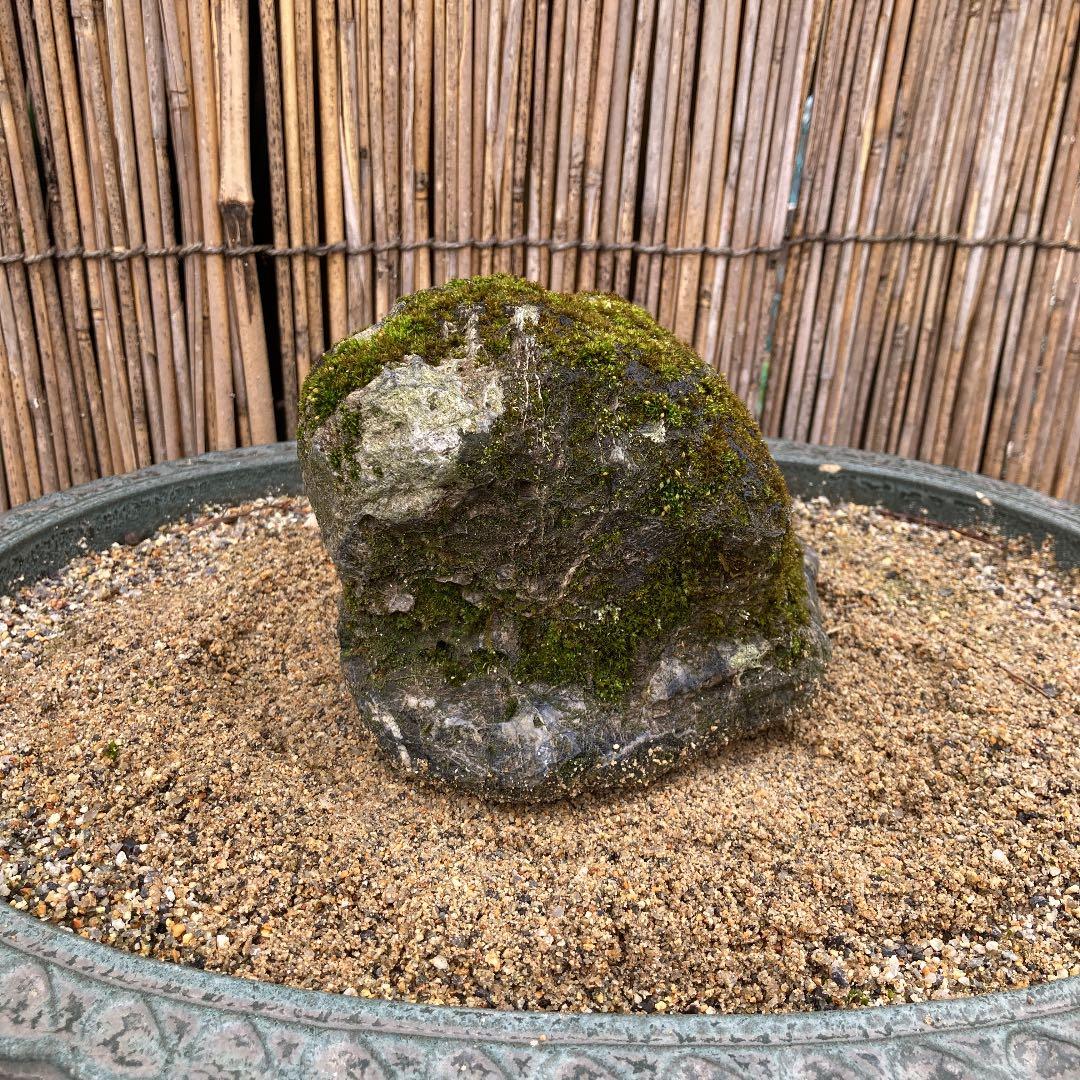 京都　貴船　糸掛石【A】