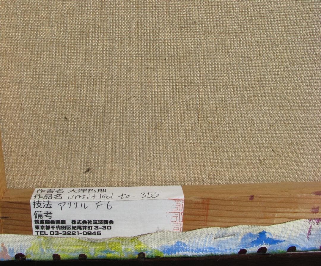 現代美術作家,大澤哲郎「untitled to-355」F6号アクリル