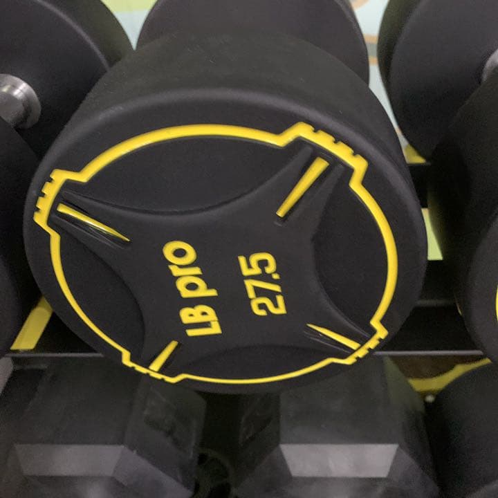 TPUダンベル　27.5kg ２個