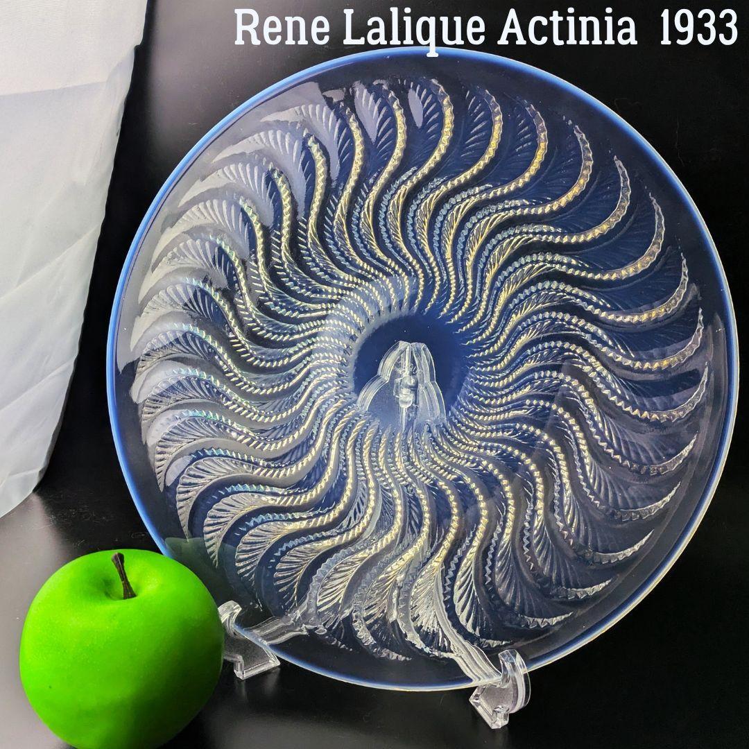 ルネ ラリック オパルセント皿 アクティニア イソギンチャク 1933年頃作品