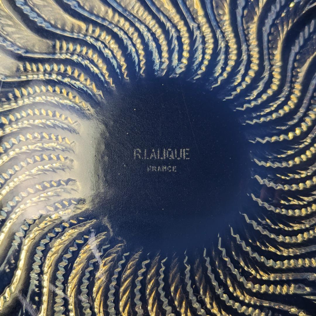 ルネ ラリック オパルセント皿 アクティニア イソギンチャク 1933年頃作品