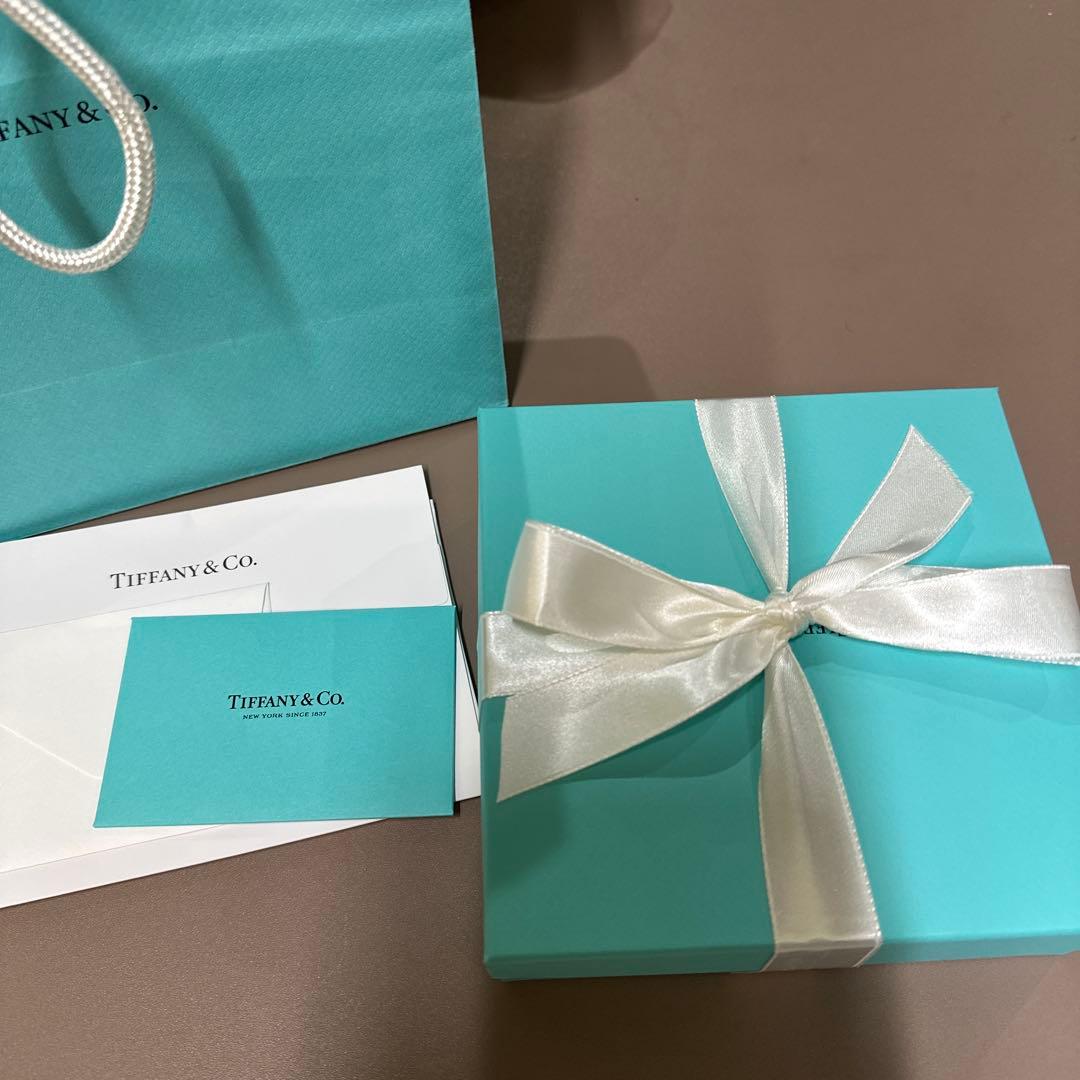 Tiffany & Co. ティファニーブルー レザー首輪mサイズ (未使用品)