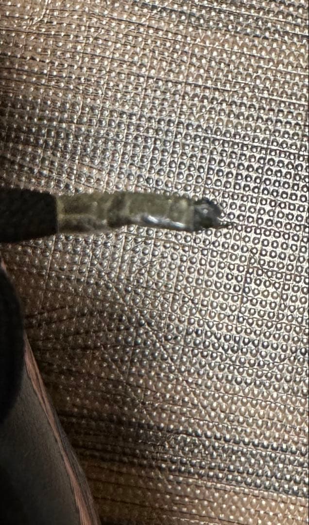 x-fly pro2 26.0 値下げコメント受け付けません即購入可