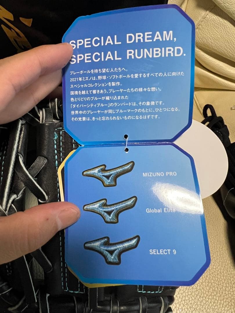 箱付き　硬式　限定　ミズノプロ　ダイバーシティー　ファーストミット　タグ付