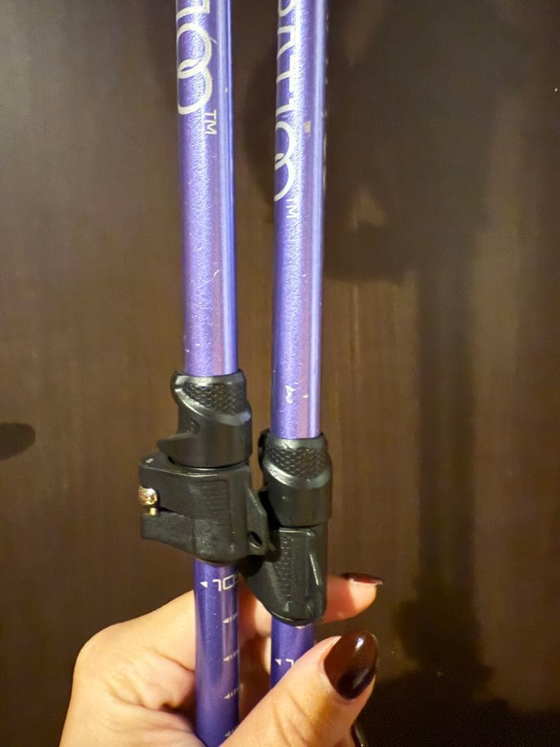 SILVERRATIOO シルバーラティオ スキーポール ストック