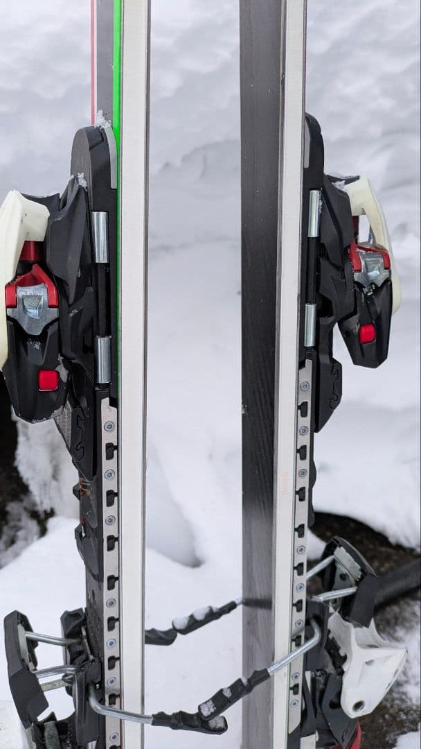 ノルディカ Nordica GS World Cup スキー板 188cm