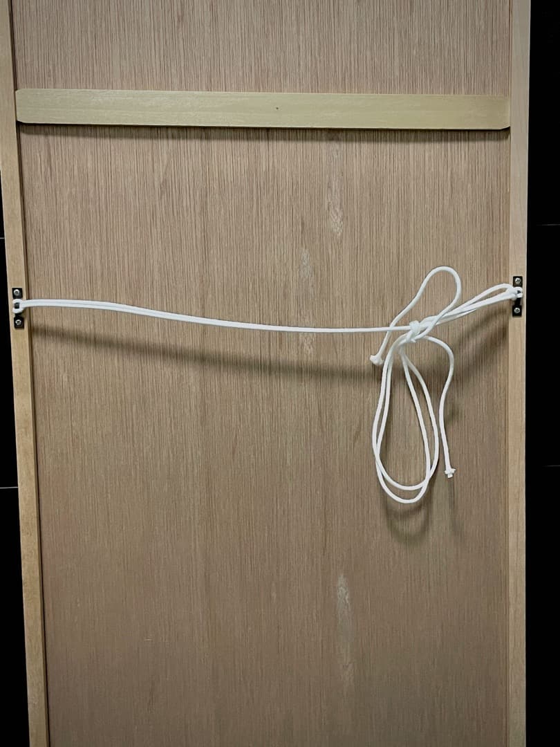 ミュシャ 浮気女 1899年　額縁つき　アート　絵画