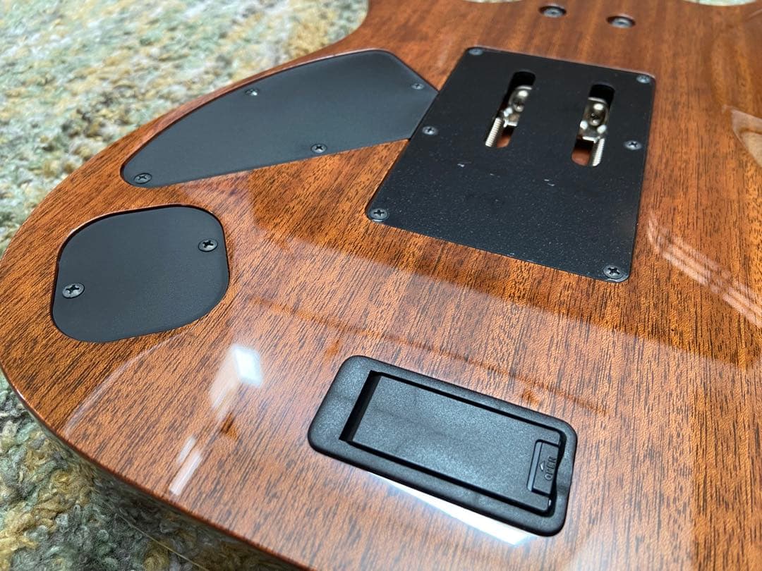 Ibanez RG5120-FCN RGシリーズ　【おっひー品】