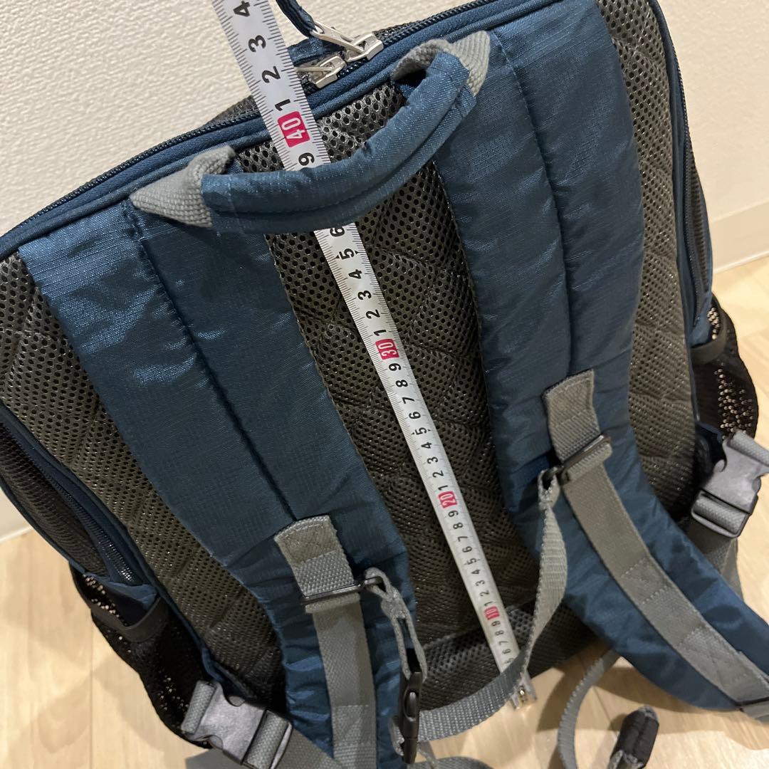 ペットパラダイス ハグ＆リュック キャリーバッグ 小型犬 リュック