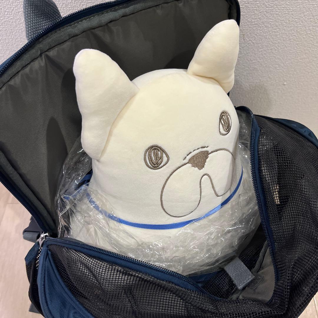 ペットパラダイス ハグ＆リュック キャリーバッグ 小型犬 リュック