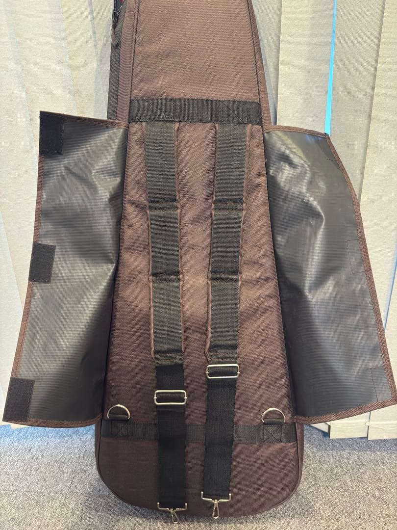 ギター Vanzandt STV-R1