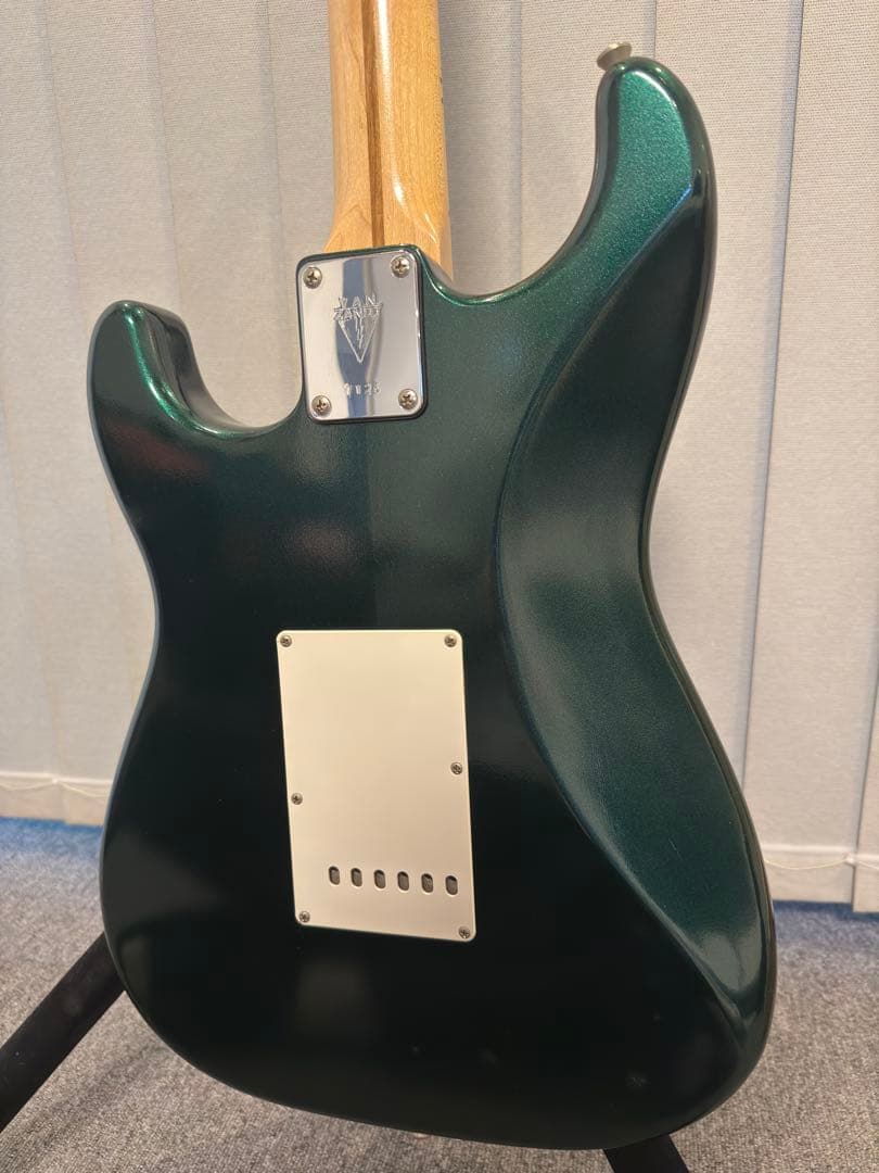 ギター Vanzandt STV-R1