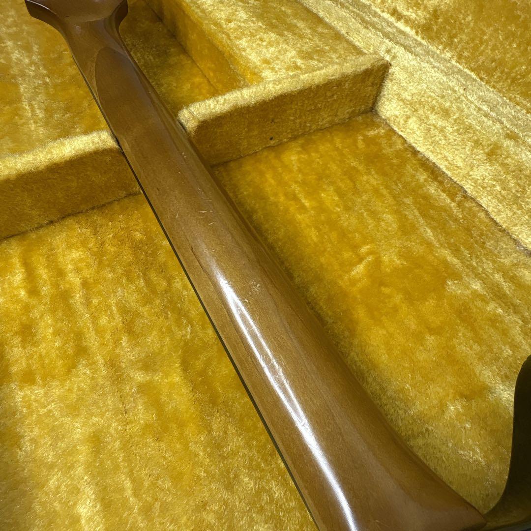 ギター ryoga SKATER MOD