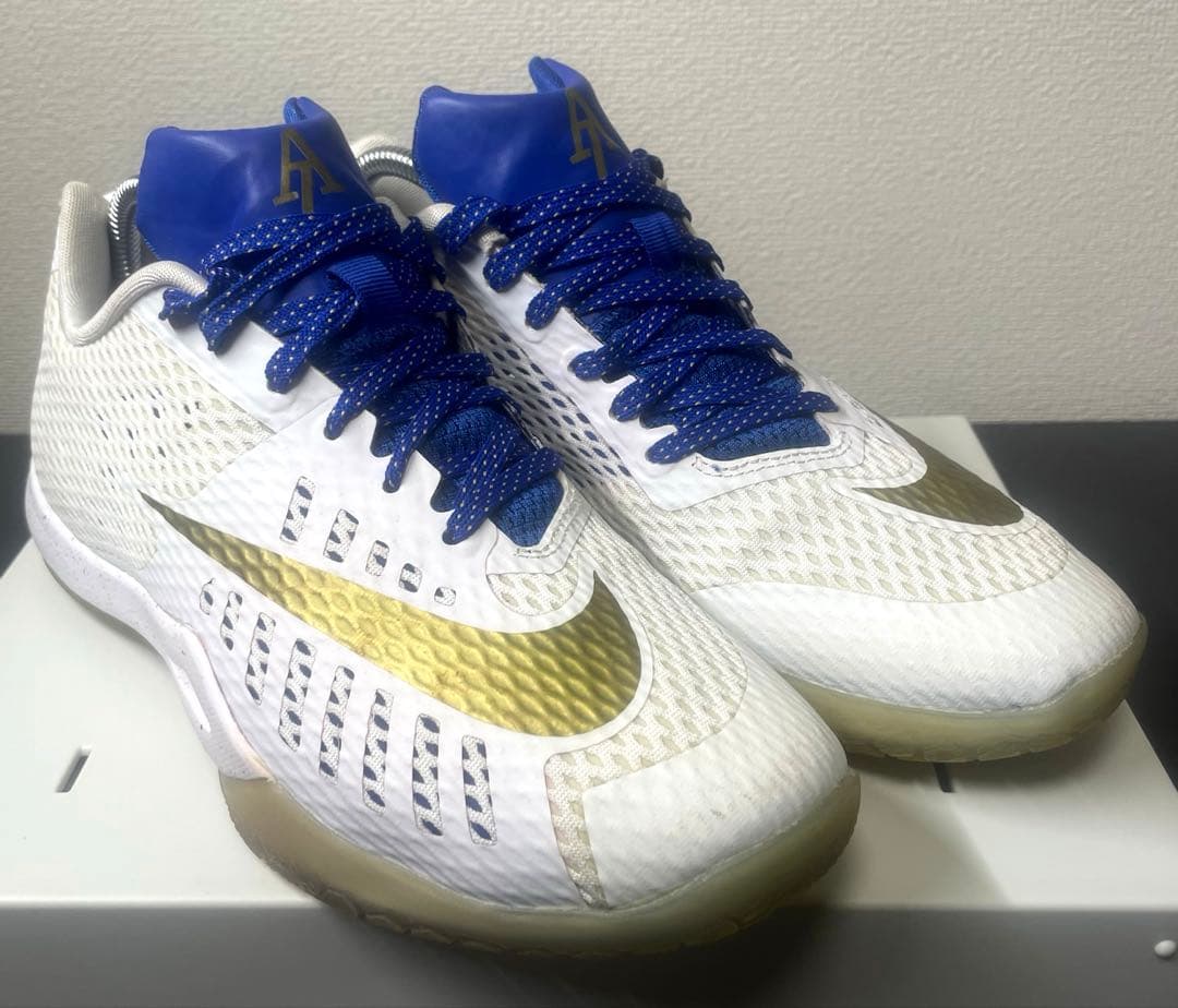 NIKE ナイキ HYPER LIVE バスケットボールシューズ イグダラ