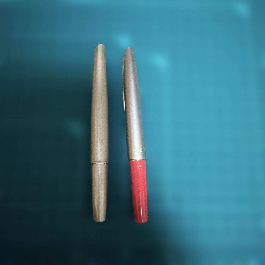 PLATINUM Elise 万年筆 18K 750