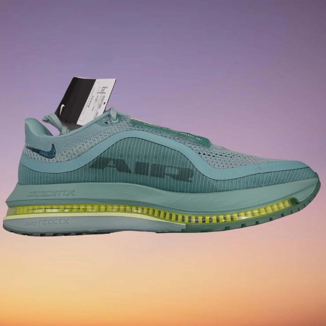 未使用・新品　NIKE ナイキ ペガサスプレミアム 29㎝ HQ2592-009