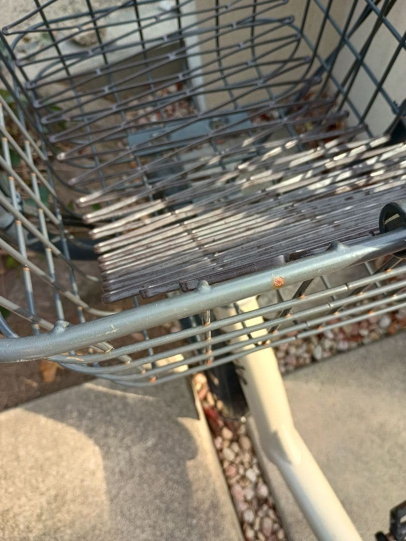 ブリジストン　ビッケ　ポーラーe