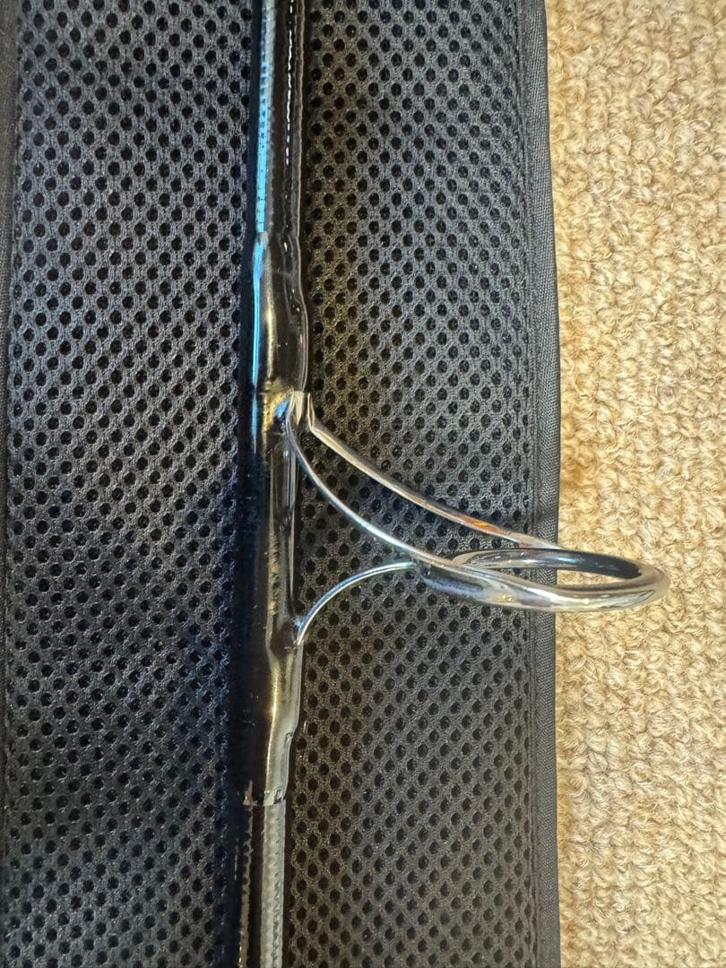 レスターファイン×ライズ　ブラックブレイズ