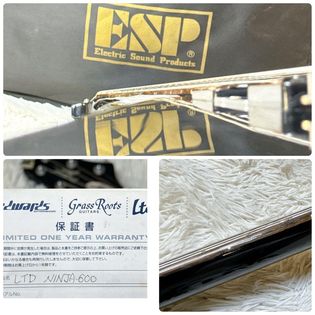 ESP/LTD NINJA-600 マイケルアモット Michael Amott