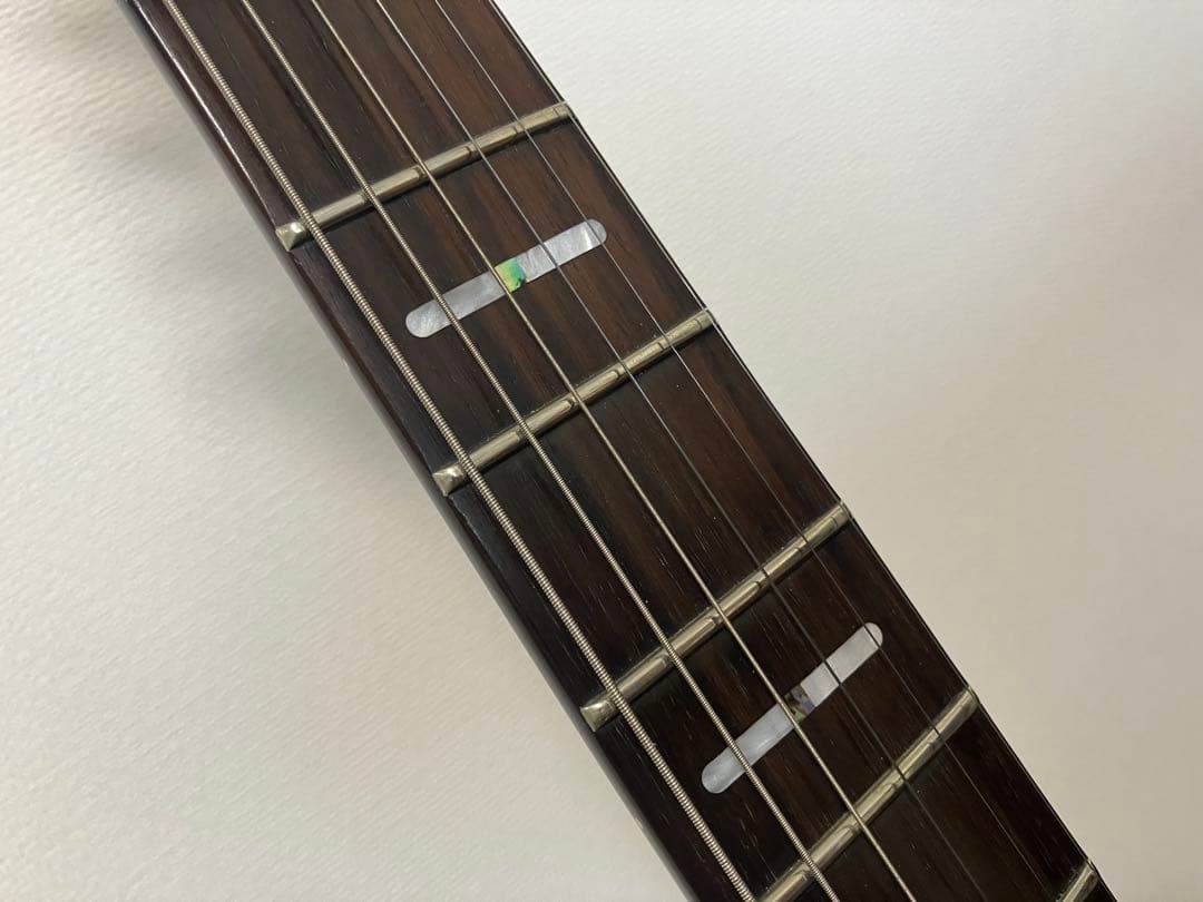 B*d様 sire x5 /TBK.S