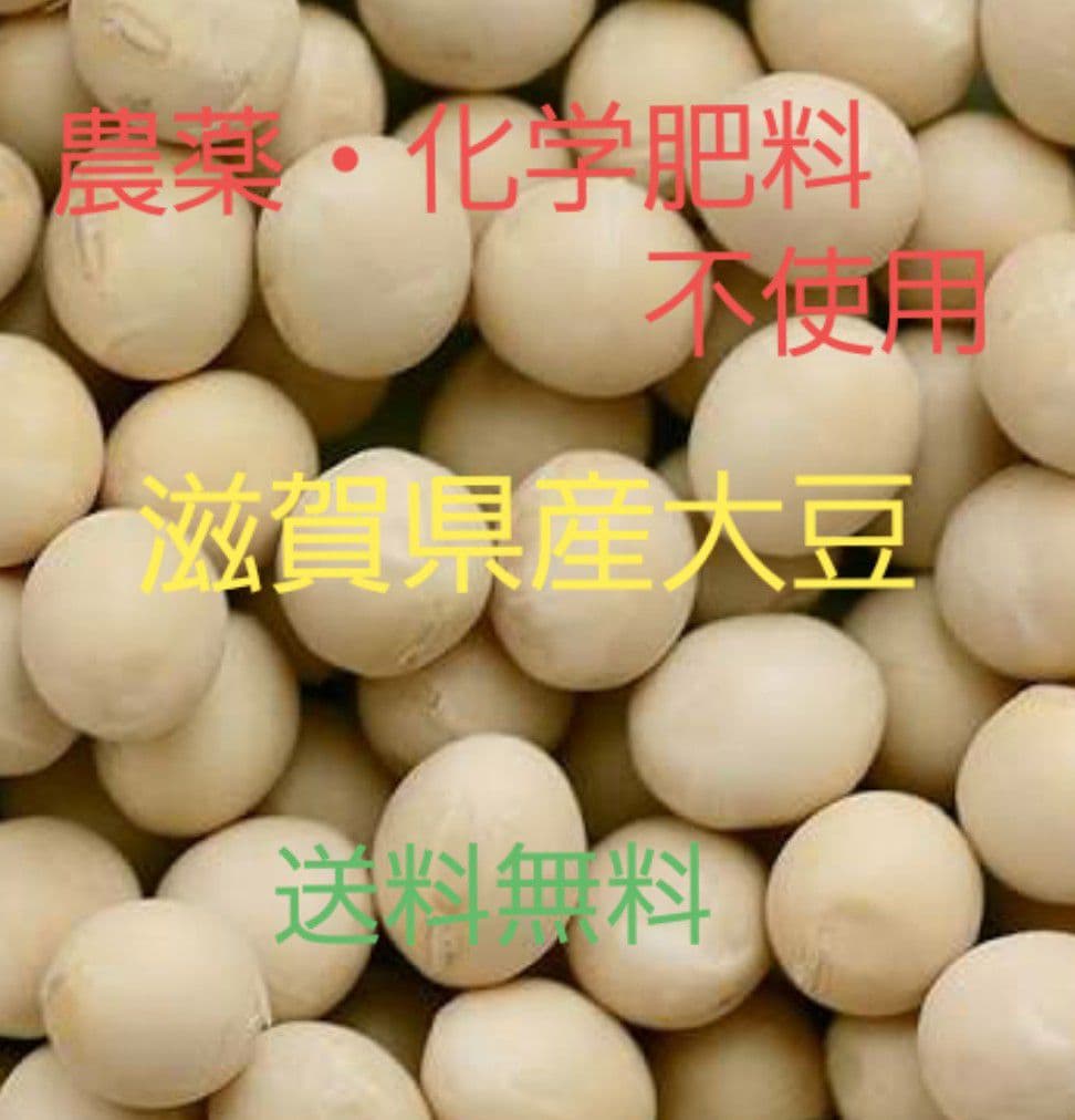 【sora】農薬・化学肥料不使用　令和7年度産　滋賀県産大豆8000g