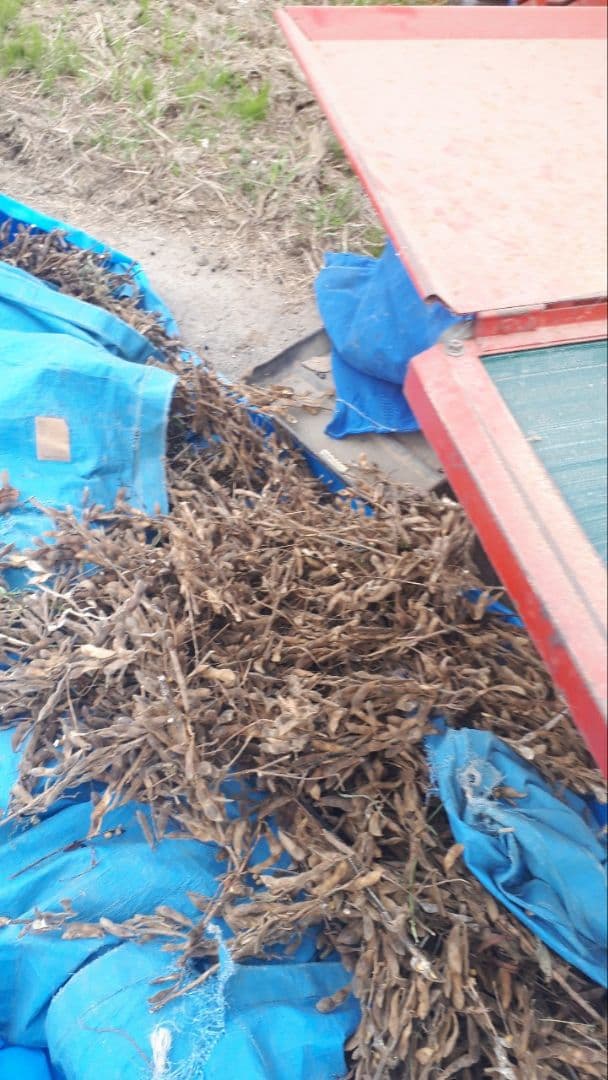 【sora】農薬・化学肥料不使用　令和7年度産　滋賀県産大豆8000g