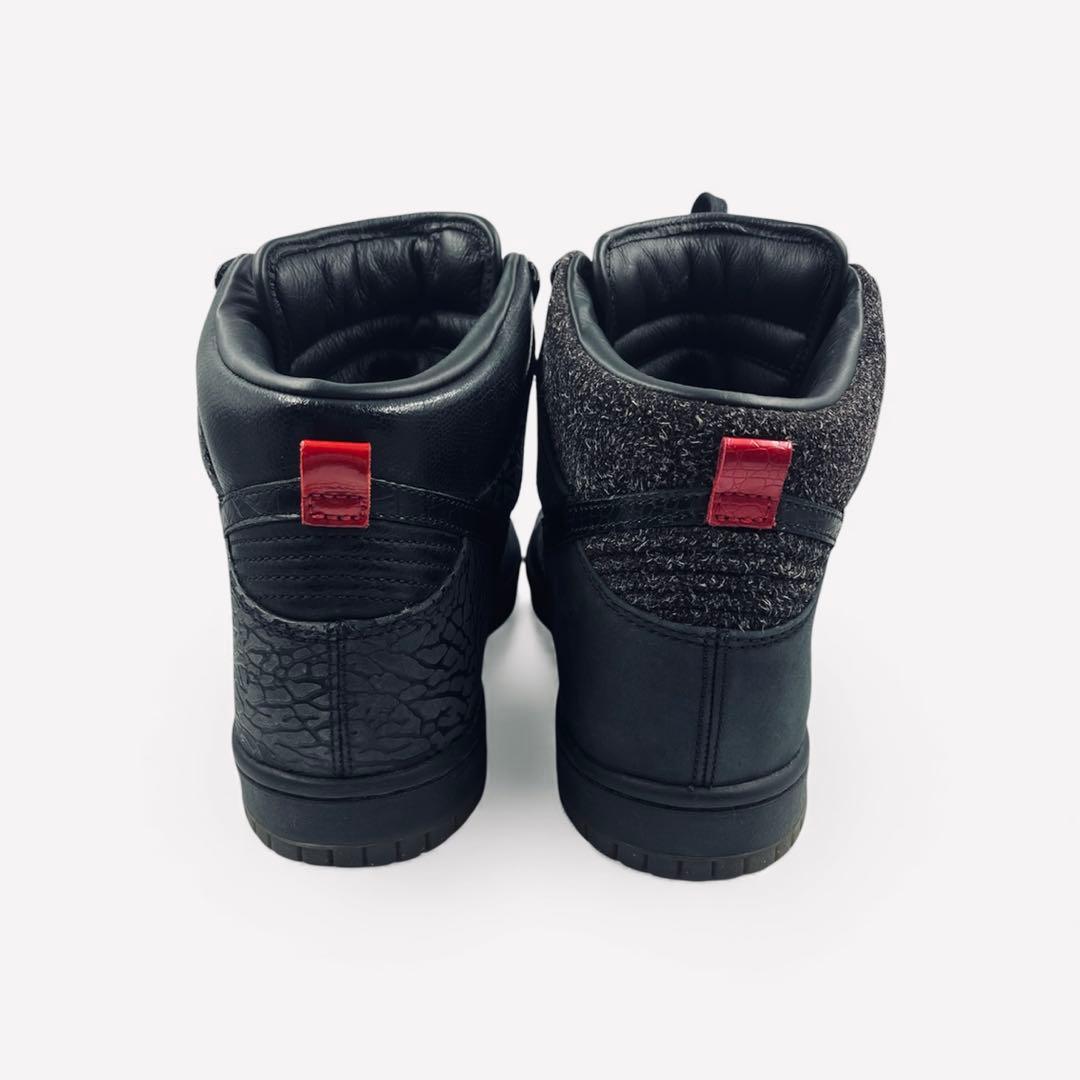 希少】NIKE マイティクラウン　20周年　ダンク ハイ プレミアム　28