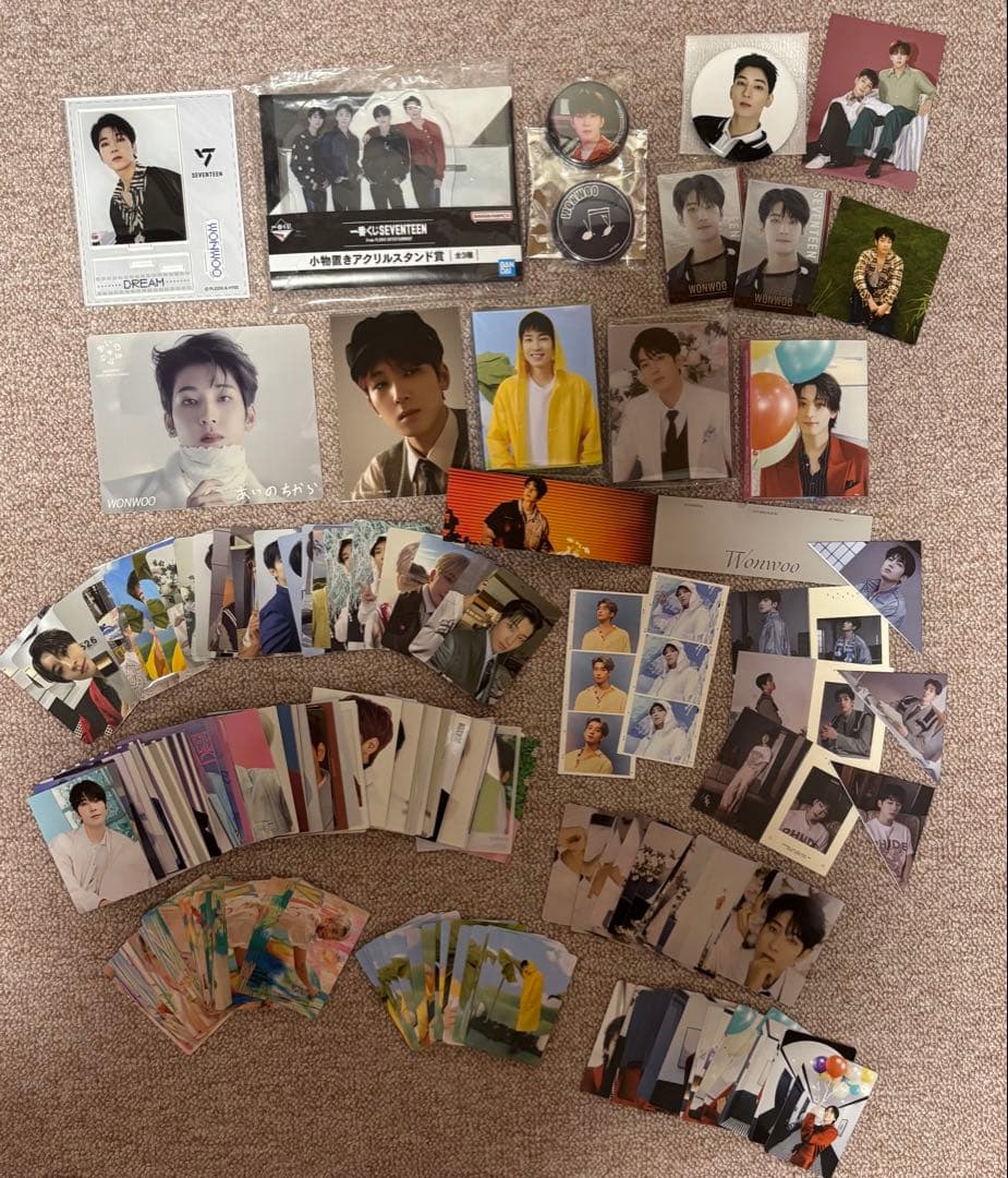 RT-188309 seventeen ウォヌ　セット