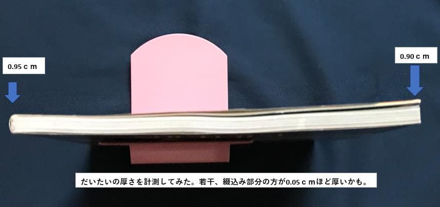 ★ZARD坂井水　歌手デビュー前蒲池幸子さん時代 写真集「NOCTURNE」