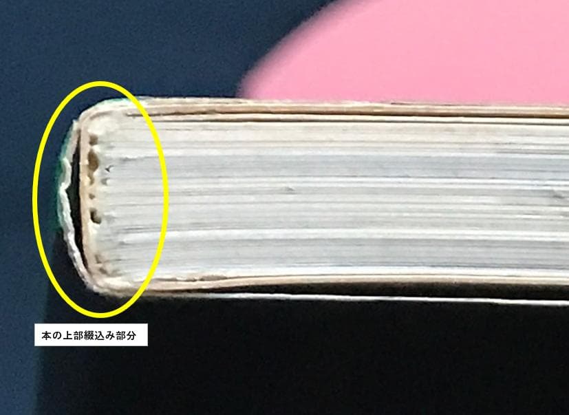 ★ZARD坂井水　歌手デビュー前蒲池幸子さん時代 写真集「NOCTURNE」