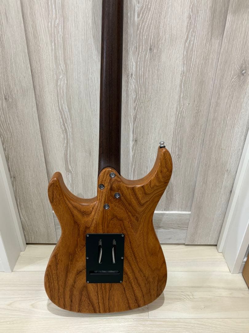 ギター Mayones aquila qm6