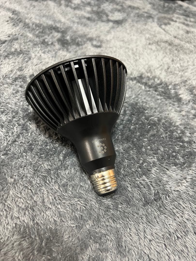 いきもの電球＋E26ソケット　CERAPHIC 5000K 23W 電球型照明