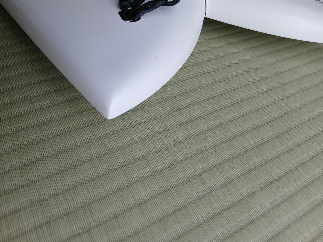 PLACEBO プレセボ RNF RETRO 18 フィッシュ サーフボード