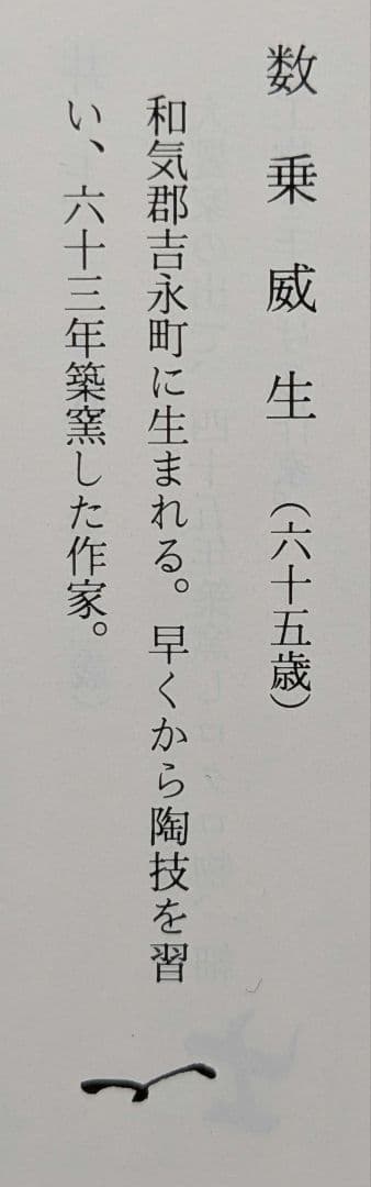 数乗威生 備前焼 三耳壺 三耳壷 花瓶 花器 花入 フラワーベース 花生 華道具