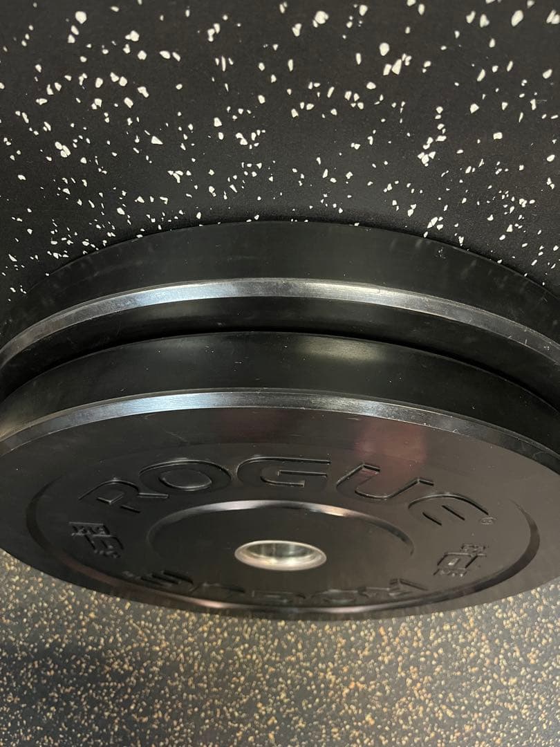 ROGUE ローグ バンパープレート 10kgペア