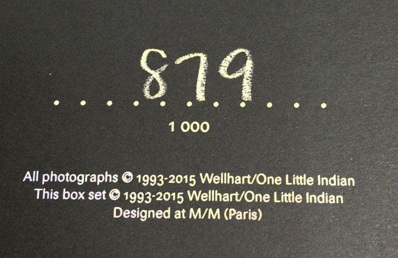 Bjork/ビョーク/Volta 2007/ポスター