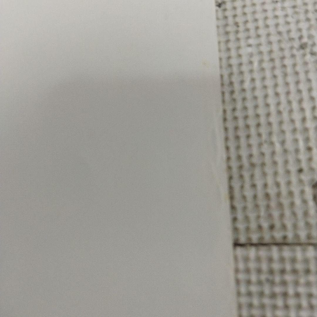 資生堂　セリア・キャロン　ポスター サンフレア　この夏　その気